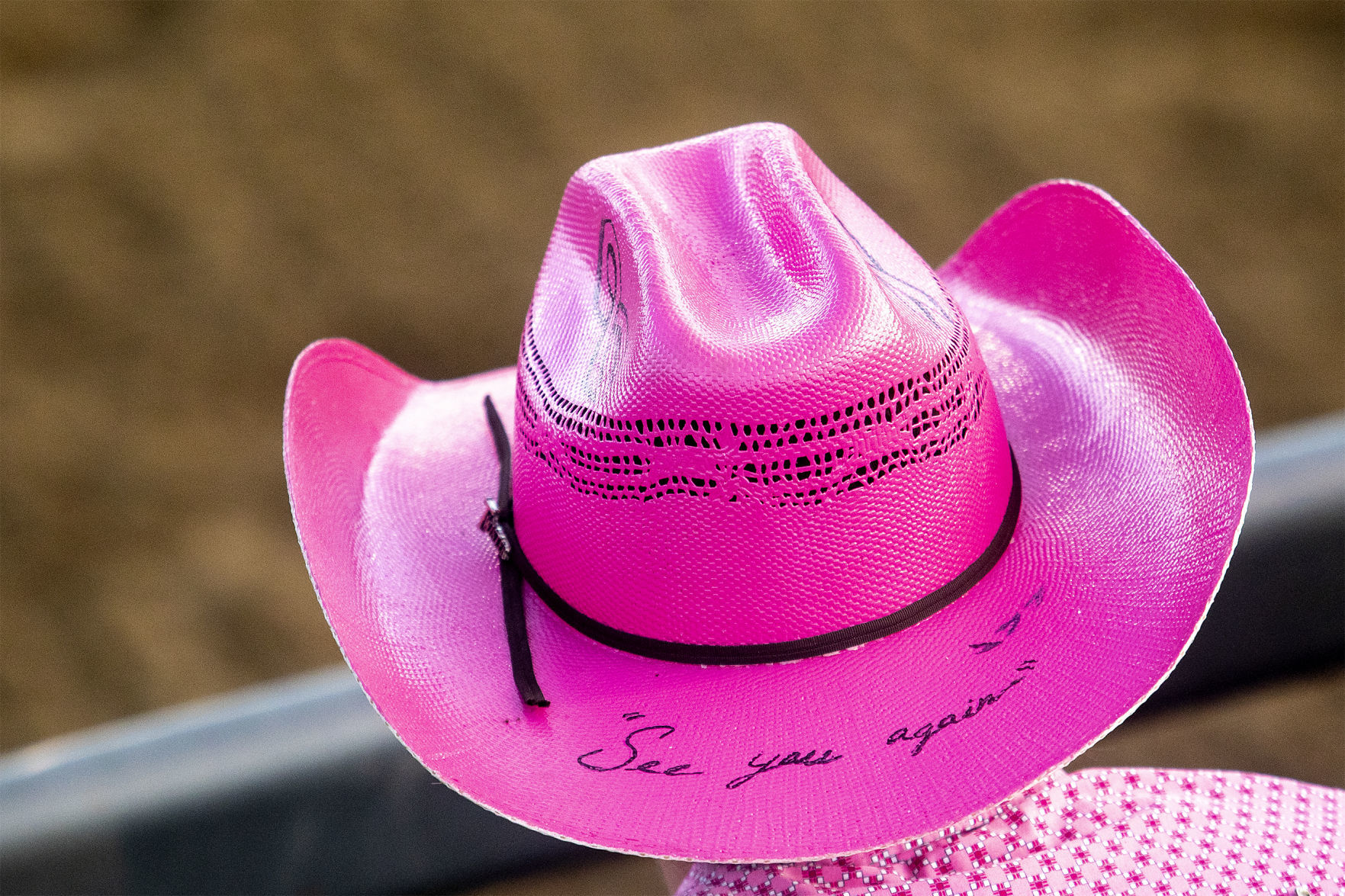 Rodeo gallery